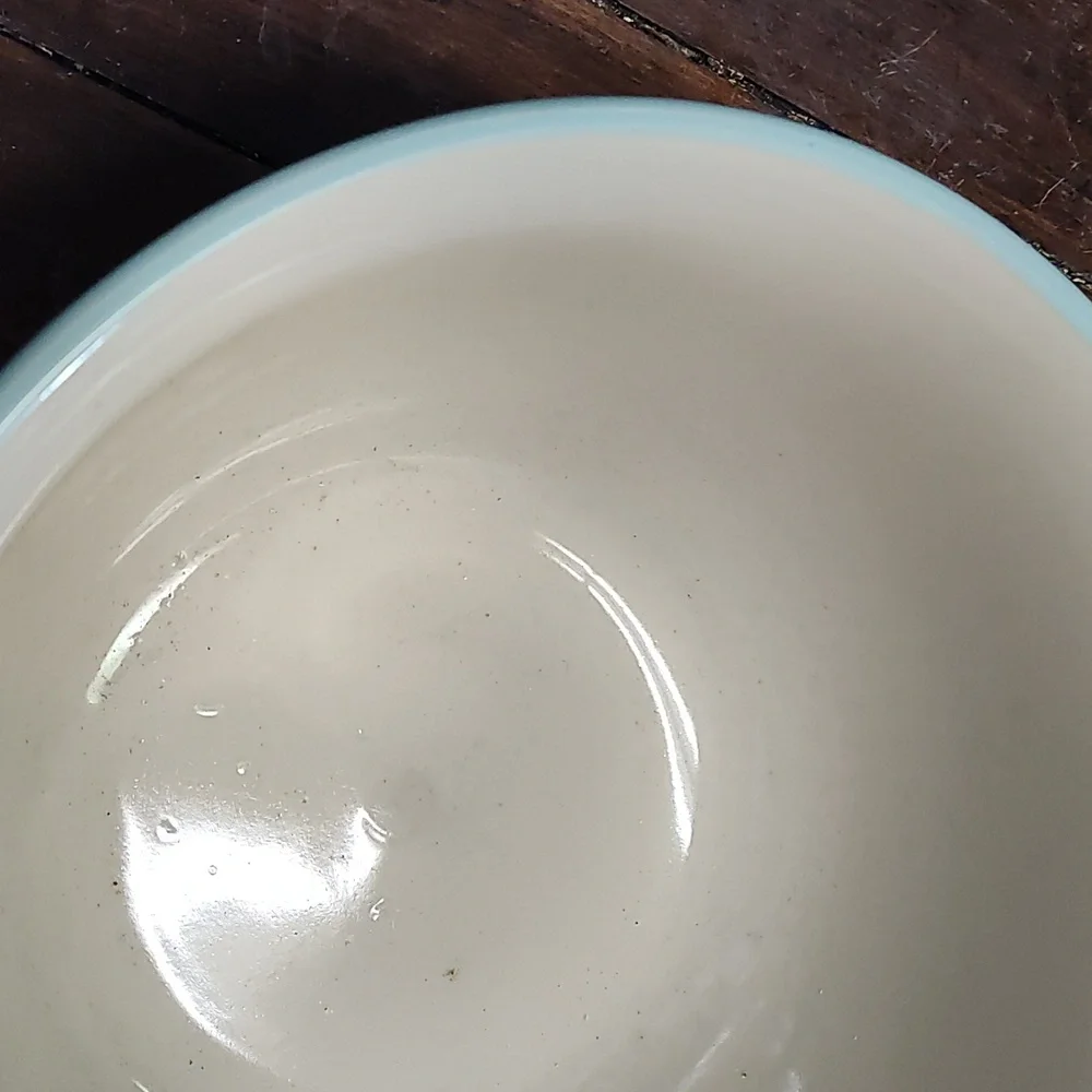 Williams Sonoma Ribbed Ceramic Bowl